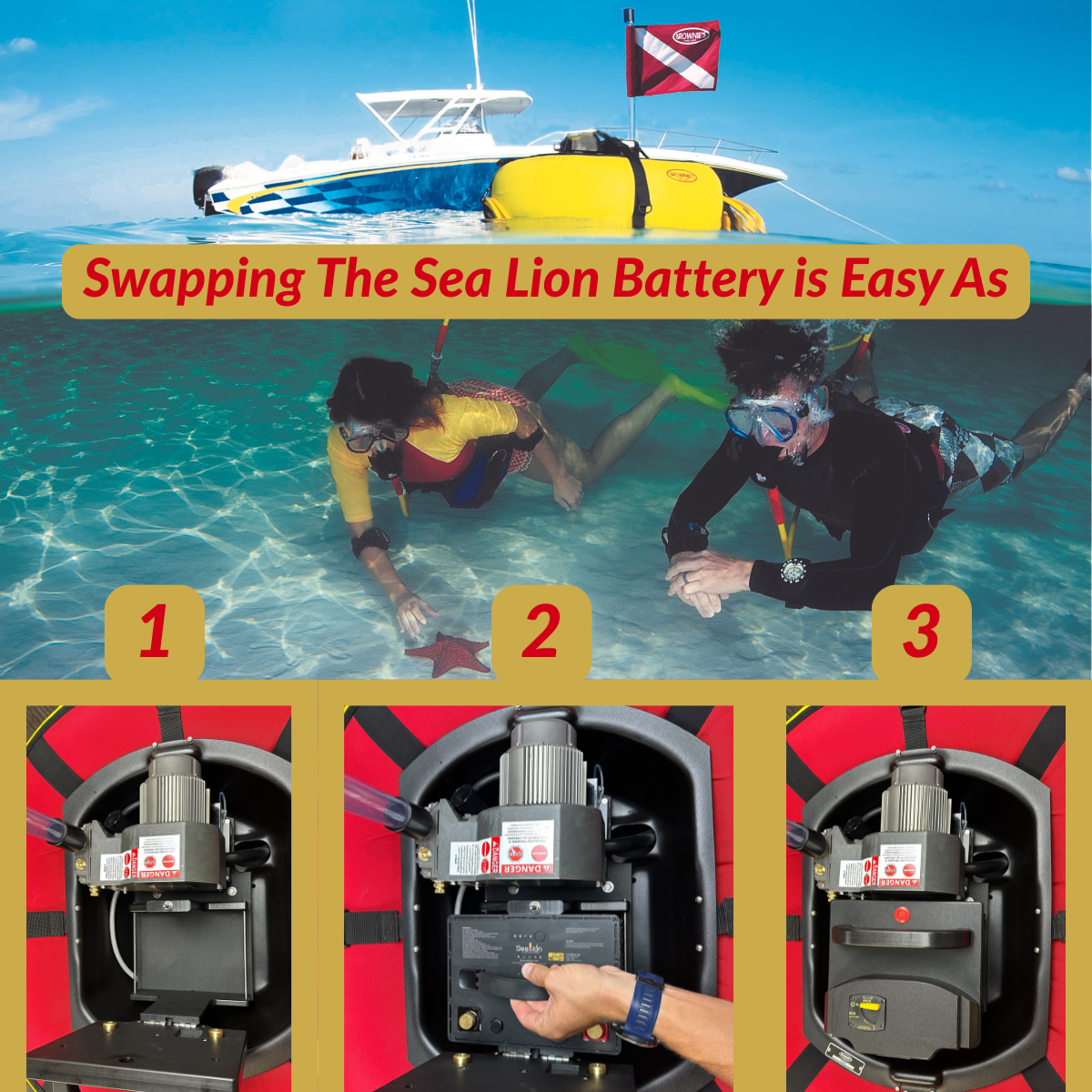 Sea LiON removable battery swap sequence