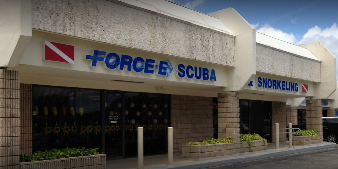 screenshot-2020-06-29-force-e-scuba-boca-raton-google-search_orig