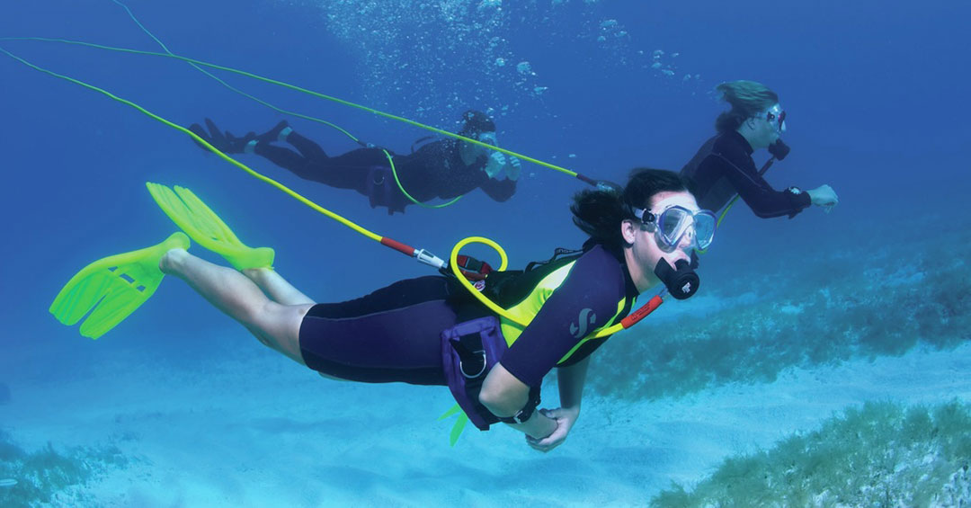 Three Brownie's divers together underwater