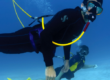 Divers breathe underwater without tanks from a floating compressor brownie dive system.