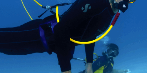Two divers underwater using a Brownie&rsquo;s surface-supplied hookah system, or tankless scuba system, breathing through hoses connected to a floating compressor during a shallow recreational dive.