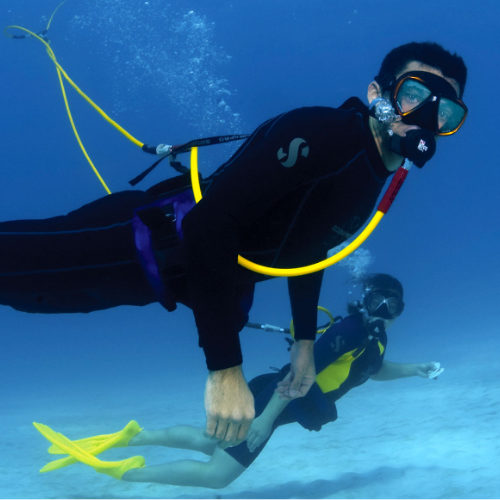 Two divers underwater using a Brownie&rsquo;s surface-supplied hookah system, or tankless scuba system, breathing through hoses connected to a floating compressor during a shallow recreational dive.