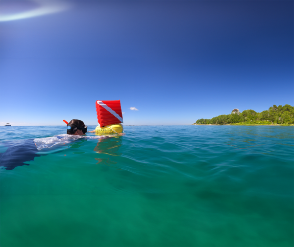 Diver swimming and holding onto the 3D Dive Flag Buoy for support