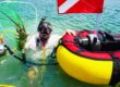 Diver using a Brownie’s Sea LiON floating hookah diving system to catch a lobster near the surface, with red and yellow float, dive flag, and battery-powered compressor.