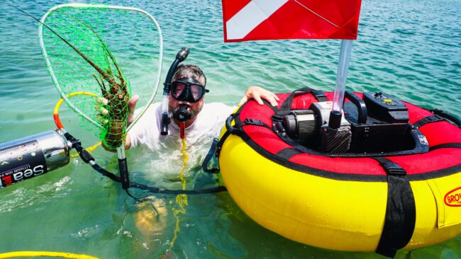 Diver using a Brownie&rsquo;s Sea LiON floating hookah diving system to catch a lobster near the surface, with red and yellow float, dive flag, and battery-powered compressor.